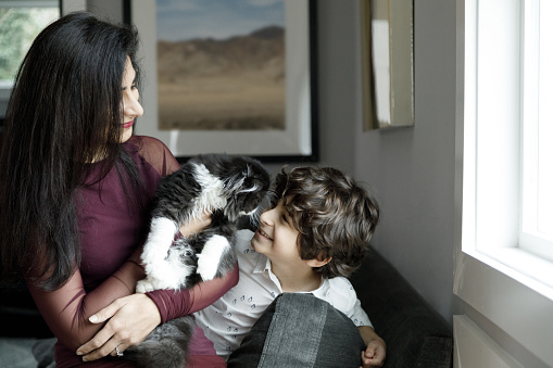 A mother holds a cat while her son smiles at the kitten.  The boy is six years old, the cat is a six month old kitten.  The mom wears a purple top, the boy has a white shirt.  The cat is a Persian breed, the mother and child are Iranian ethnicity.  They are in a home, boy people are smiling.  They are sharing a moment with their pet.