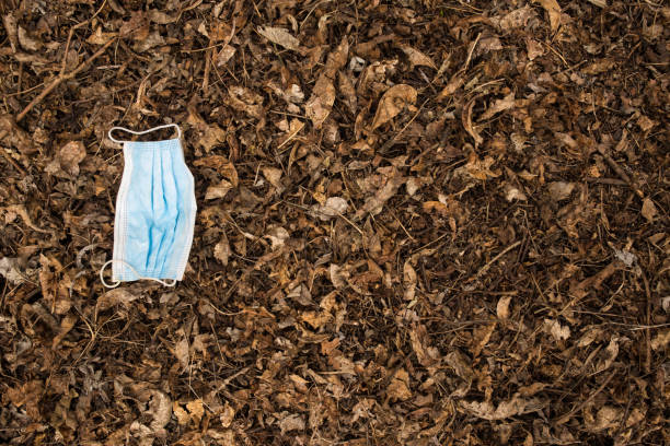 istock Used face mask on a forest ground 1312353129