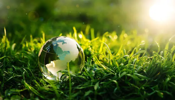 Photo of Glass globe in green grass at sunny background.  Concept of the Environment World Earth Day.