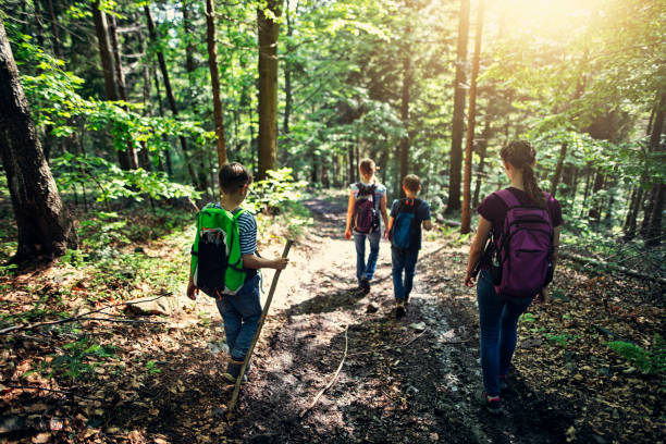 istock Hiking family hiking on the forest path into the spring 1312355440
