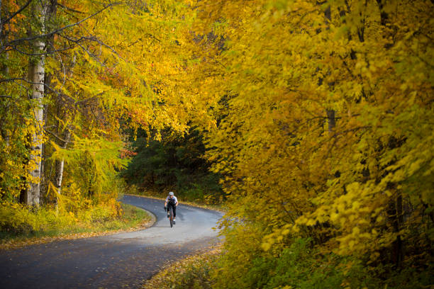 giro in bicicletta su strada di ottobre - racing bicycle bicycle cycling yellow foto e immagini stock