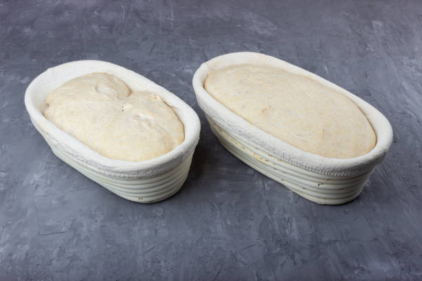istock Sourdough dough in proofing baskets. Whole wheat recipe. 1312358882
