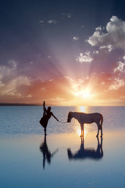 ballerine dansant avec le cheval sur l’eau - water lake reflection tranquil scene photos et images de collection