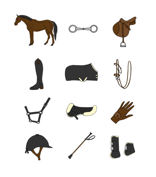 ilustrações de stock, clip art, desenhos animados e ícones de vector set bundle of hand drawn doodle sketch colored horse riding equestrian equipment icon - saddle blanket