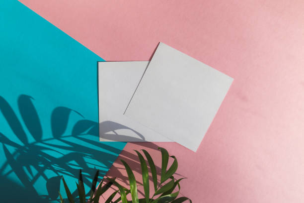 istock Modern summer stationery mock up. Deep shadow of tropical palm tree leaves and two empty blanks on blue and pink background. Top view, flat lay, copy space 1312366758