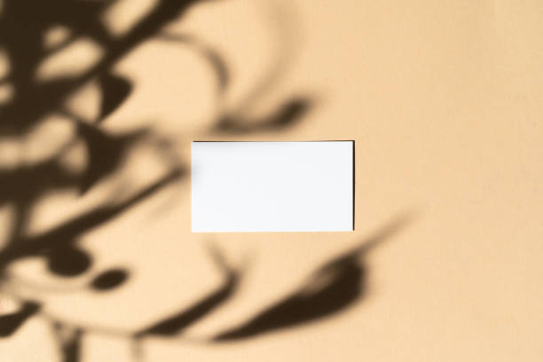 istock Blank white businesscard on beige background with creative floral shadow 1312370944