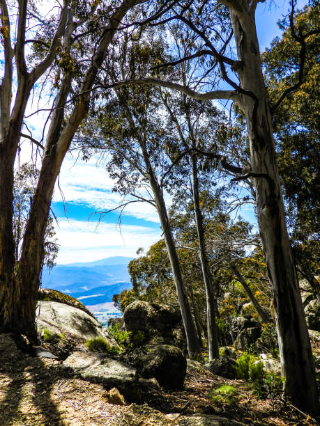 istock Porepunkah, Victoria, Australia 1312371626