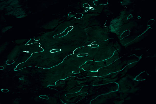 Waves of light reflections on dark background. Abstract curves of fluorescent light on ice surface. Dark water background with organic, liquid lights.