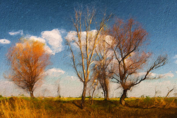 oil landscape painting bare trees and blue sky - abstract autumn bare tree empty imagens e fotografias de stock