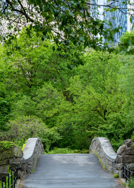 istock Gapstow Bridge in Central Park 1312378993
