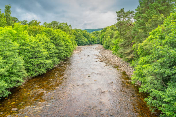 istock Scotland Cairngorms National Park 1312380502
