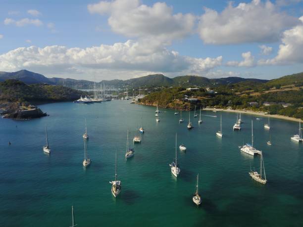 istock Sailboats moored in a harbor 1312381363