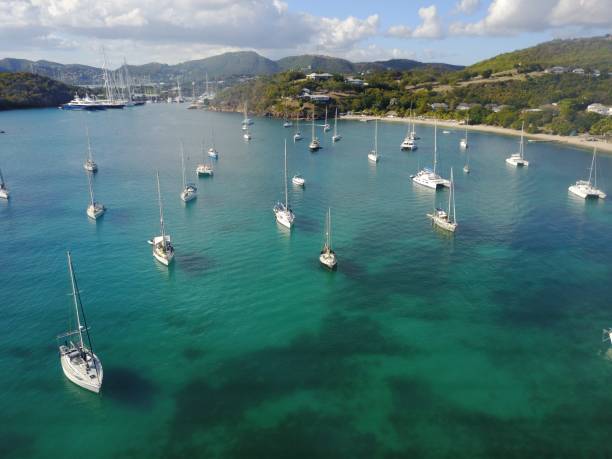 istock Sailboats moored in a harbor 1312381364