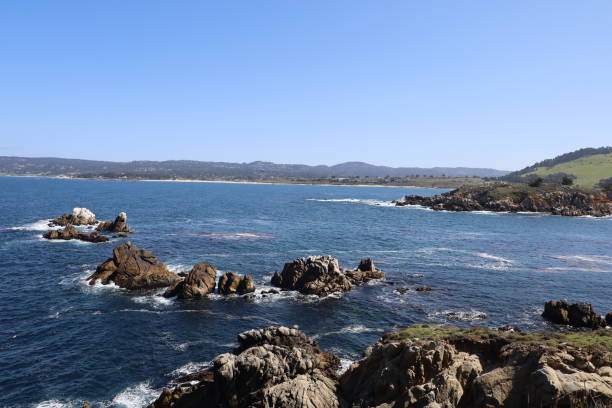 istock Point Lobos State park in California 1312382127