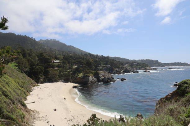 istock Point Lobos State park in California 1312382131
