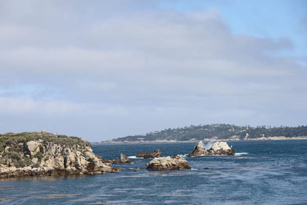 istock Point Lobos State park in California 1312382156