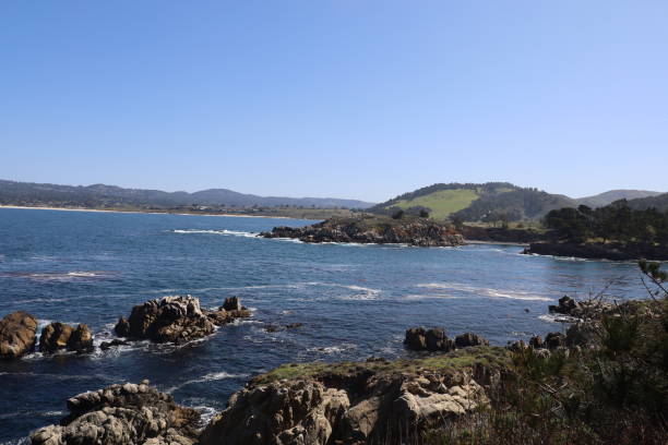 istock Point Lobos State park in California 1312382255