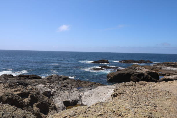 istock Point Lobos State park in California 1312382269
