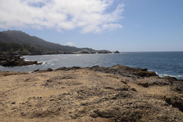 istock Point Lobos State park in California 1312382284