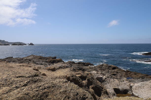 istock Point Lobos State park in California 1312382287