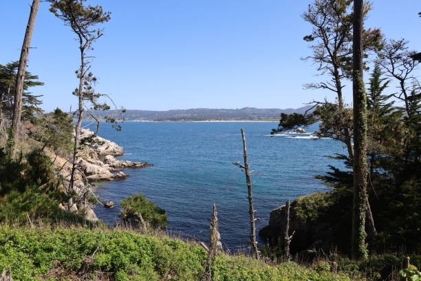 istock Point Lobos State park in California 1312382292