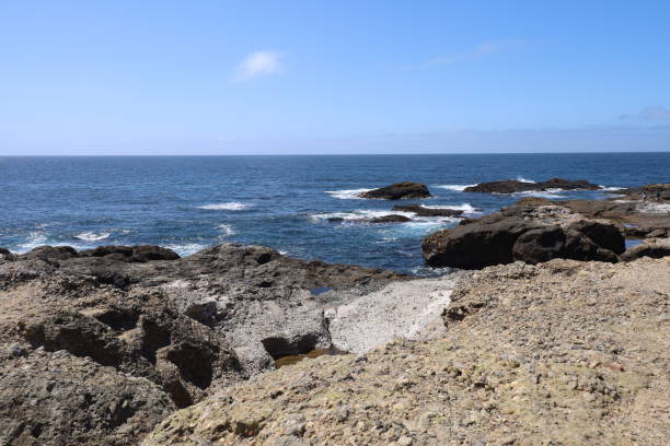 istock Point Lobos State park in California 1312382344