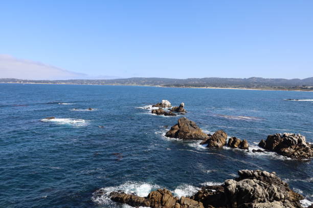 istock Point Lobos State park in California 1312382397