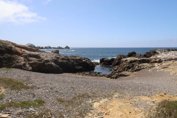 istock Point Lobos State park in California 1312382431