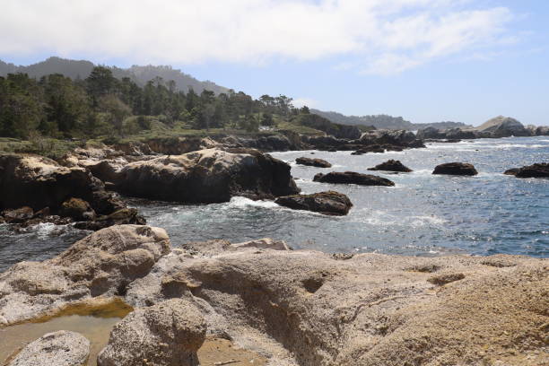 istock Point Lobos State park in California 1312382456