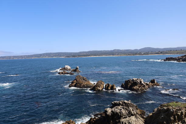 istock Point Lobos State park in California 1312383023
