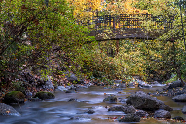 istock Bridge at Lithia Park by the creek 1312384753