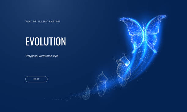 ilustrações de stock, clip art, desenhos animados e ícones de evolution of a butterfly in a digital futuristic style. insect life cycle, transformation from caterpillar to butterfly. the concept of a successful startup or investment or business transformation - melhoria