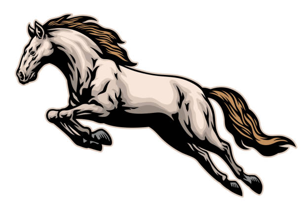 ilustrações, clipart, desenhos animados e ícones de mão puxada de corrida cavalo mustang - mustang