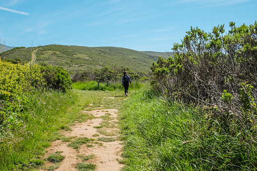 The backside of a young caucasian brunette woman wearing a tank top, black pants, and a backpack, hiking the hills in Andrew Molera State Park on a sunny day; Central Coast, Monterey County, Big Sur 3:00 PM