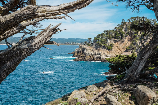 Coves of Point Lobos Nature Reserve on a sunny day; Central Coast, Monterey County, Carmel 4:00 PM