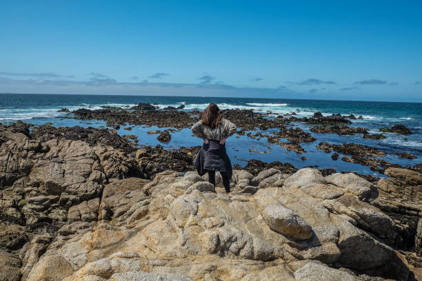istock Young Woman At Tide Pools Pacific Grove 2:00 PM 1312391912