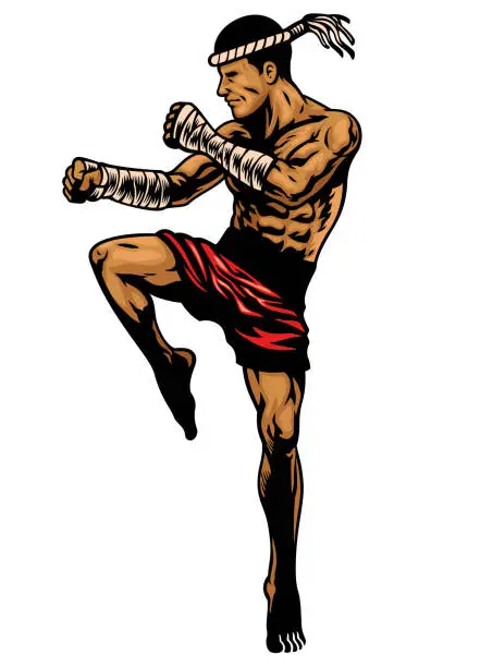 Vector illustration of muay thai fighter in hand drawing style