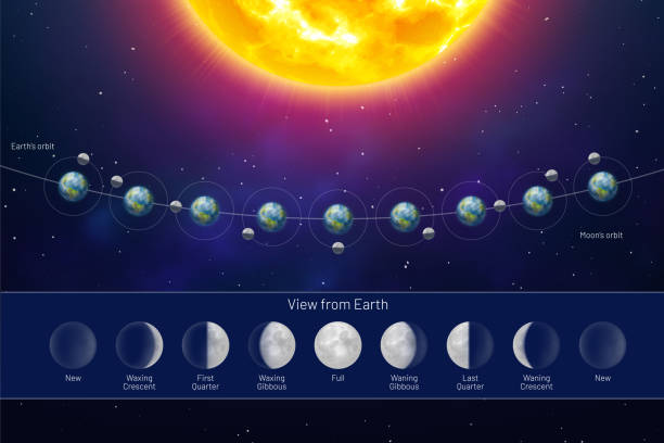Movement of the Moon Phases view from the Earth Movement of the Moon Phases view from the Earth. Whole cycle from new moon to full, lunar cycle on dark blue background. Astronomy, astrology science concept realistic vector illustration lunar eclipse stock illustrations