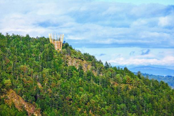 malahat skywalk - erhöhter fußgängerweg stock-fotos und bilder