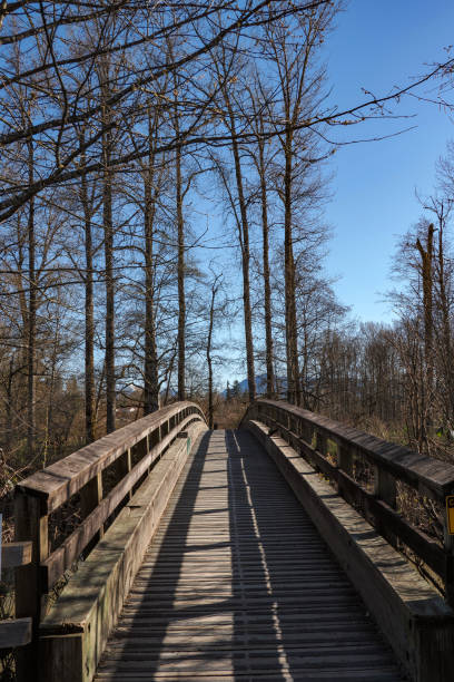 istock Kanaka creek regional park 1312400986