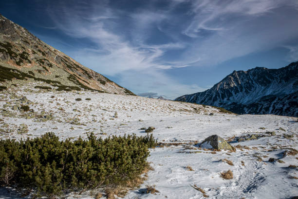 istock Dramatic sky over mountain valley in Tatras 1312402323