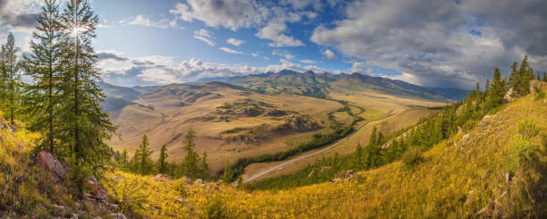 istock Panoramic view of a mountain valley on a summer evening, the sun shines through the branches of a tree 1312403890