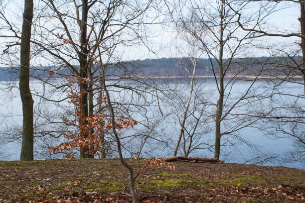 werbellinsee, lake in brandenburg, schorfheide - schorfheide imagens e fotografias de stock
