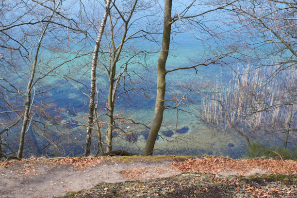 werbellinsee, lake in brandenburg, schorfheide - schorfheide photos et images de collection