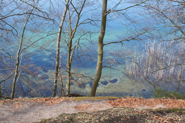 werbellinsee, lake in brandenburg, schorfheide - schorfheide imagens e fotografias de stock