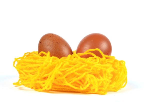 An egg in a nest, which is tied of threads on a white background.