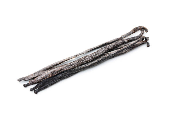istock Vanilla pods. Sticks of vanilla. 1312411092
