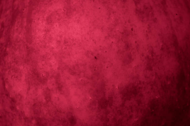 istock green apple skin with visible details. background 1312413246