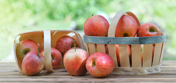 group of red apples in little basket on a wooden table in garden on green background