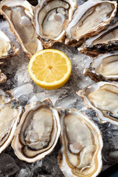 istock Oyster on ice, close-up with a lemon 1312414220